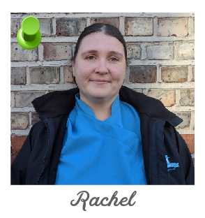 Helpful Home Cleaner Rachel