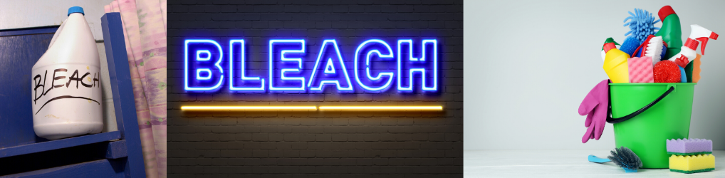 Ｂｌｅａｃｈ  Bleach, Neon signs, Neon